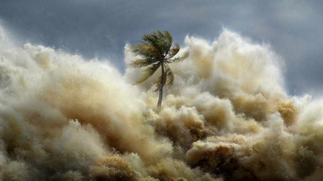 Tsunami: Kıyamet Dalgaları 1. Sezon 4. Bölüm izle